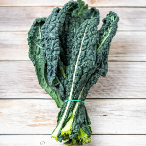 Kale 'Black Tuscan'