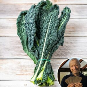 Kale 'Black Tuscan' - Charles's Seed Selection