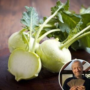 Kohlrabi 'Noriko' F1 - Charles's Seed Selection