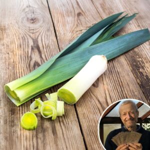 Leek 'Bandit' - Charles's Seed Selection