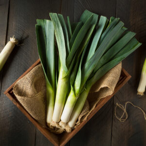 Leek 'Jolant'