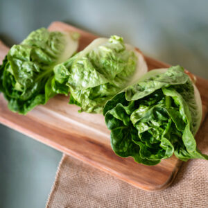 Lettuce 'Little Gem' - Charles's Seed Selection