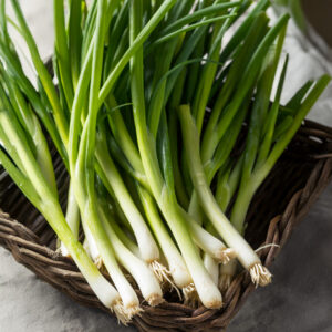 Onion 'White Lisbon' (Winter Hardy)