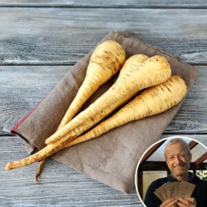 Parsnip 'Gladiator' - Charles's Seed Selection