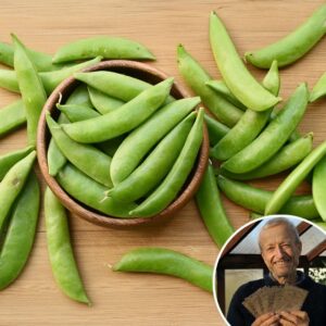 Pea 'Sugar Bon' - Charles's Seed Selection