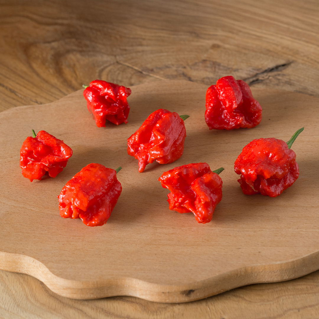 Pepper 'Carolina Reaper Red' - Image 3