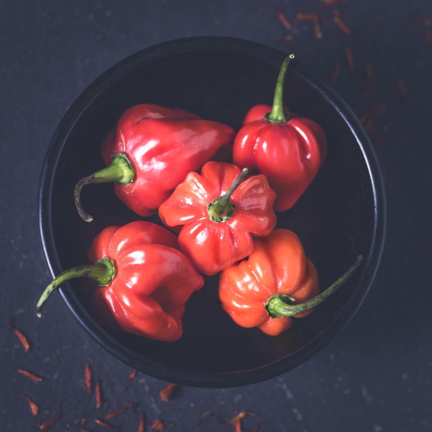 Pepper 'Scotch Bonnet Red' - Image 2