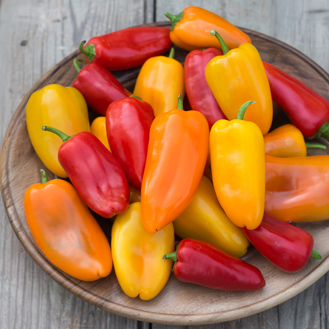 Sweet Pepper 'Snack Bite Mix'