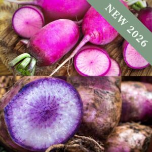 Radish 'Moon Mix' F1