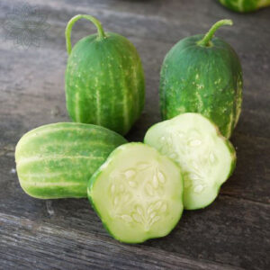Cucumber 'Green Apple'
