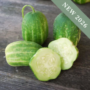 Cucumber 'Green Apple'