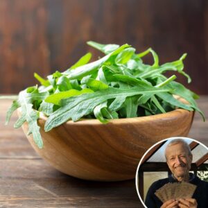 Lettuce 'Rocket Cultivated' - Charles's Seed Selection