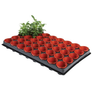 Professional Seed Cutting Tray