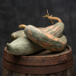 Squash 'Candy Roaster'