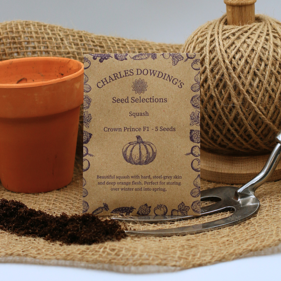Squash 'Crown Prince' - Charles's Seed Selection - Image 3