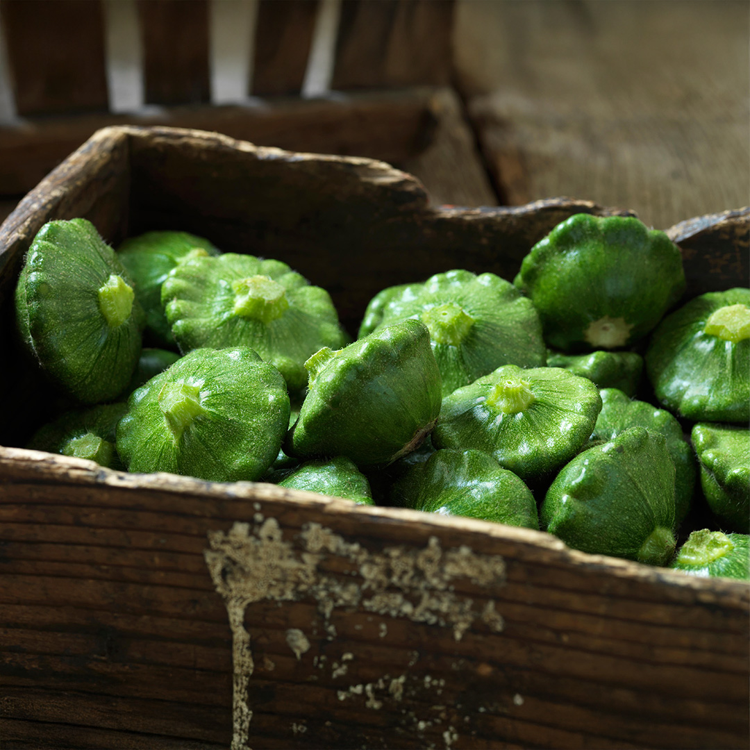 Squash 'Patty Pan Greendisc' F1 - Image 2
