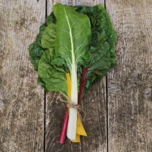 Swiss Chard 'Rainbow'
