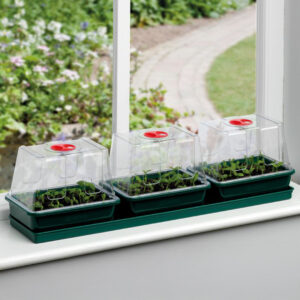 Three Top Windowsill Propagator