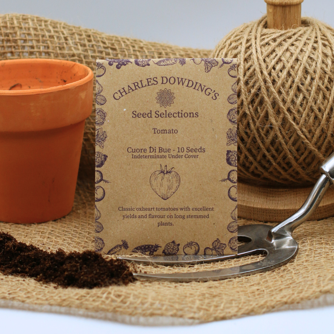 Tomato 'Curore di Bue' - Charles's Seed Selection - Image 3