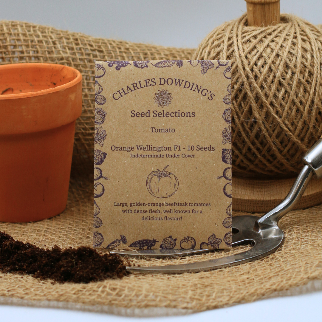 Tomato 'Orange Wellington' F1 - Charles's Seed Selection - Image 3