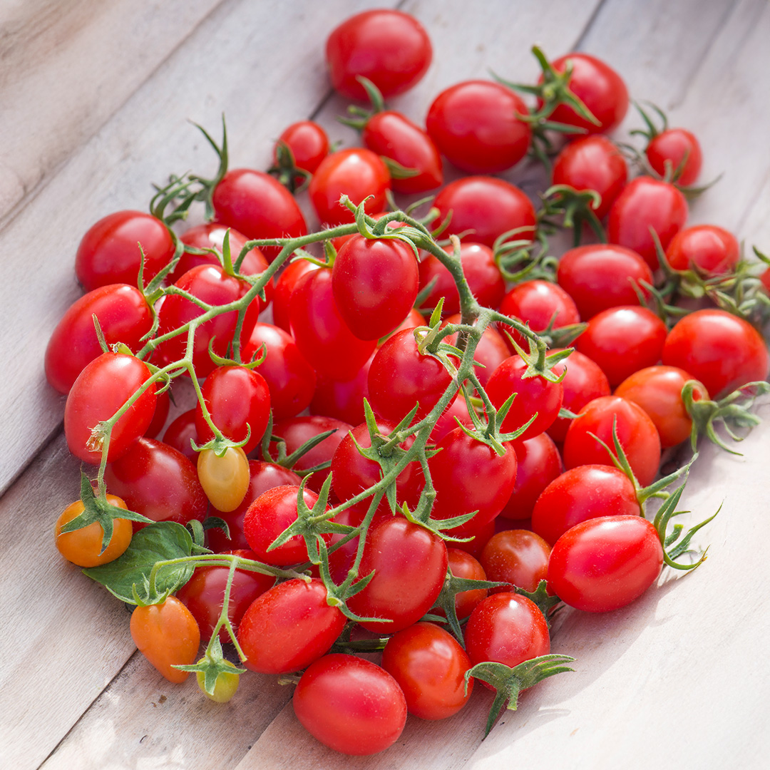 Tomato 'Romello' F1 - Image 3