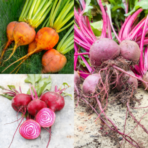 Beetroot Colour Bundle