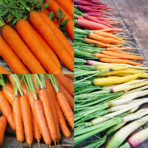 Bestsellers Carrot Bundle