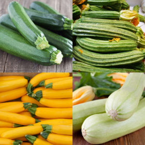 Courgette Colour Bundle