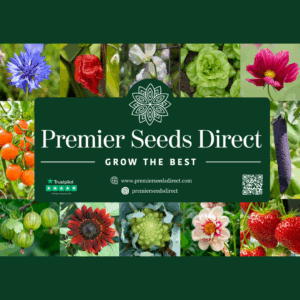 Malvern Seeds Bundle