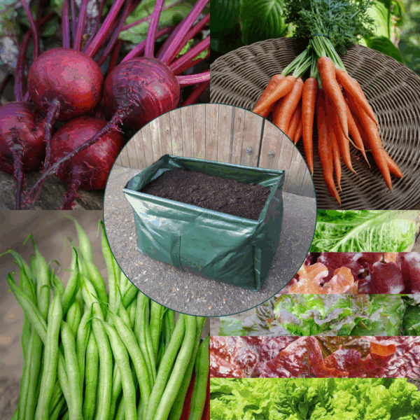 Charles’s Summer Container Veg Collection - Bordered