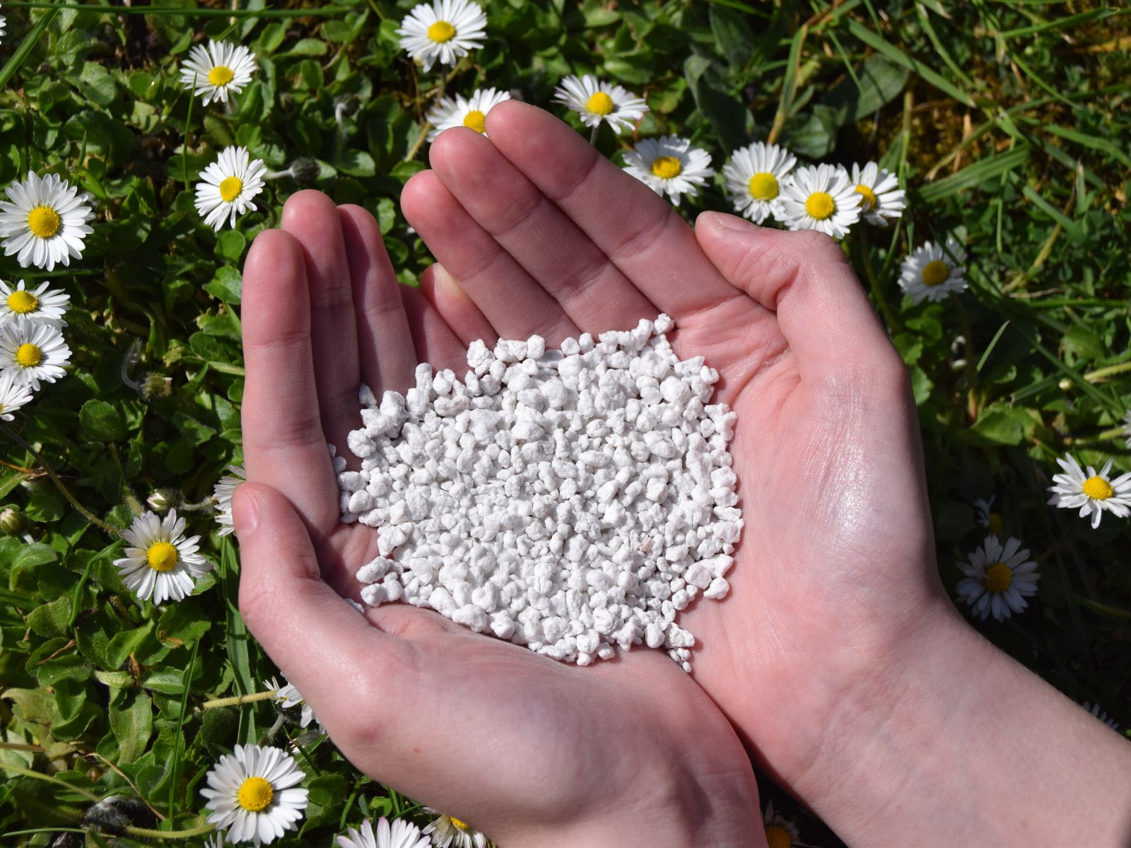 PSD Perlite 4x3