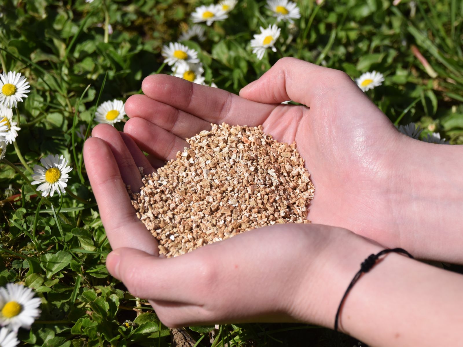 PSD Vermiculite 4x3