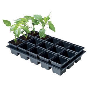 Professional Mini Vegetable Tray