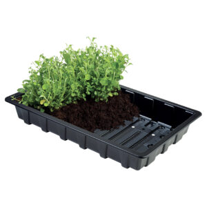 Professional Seed Trays (Pack of 5)