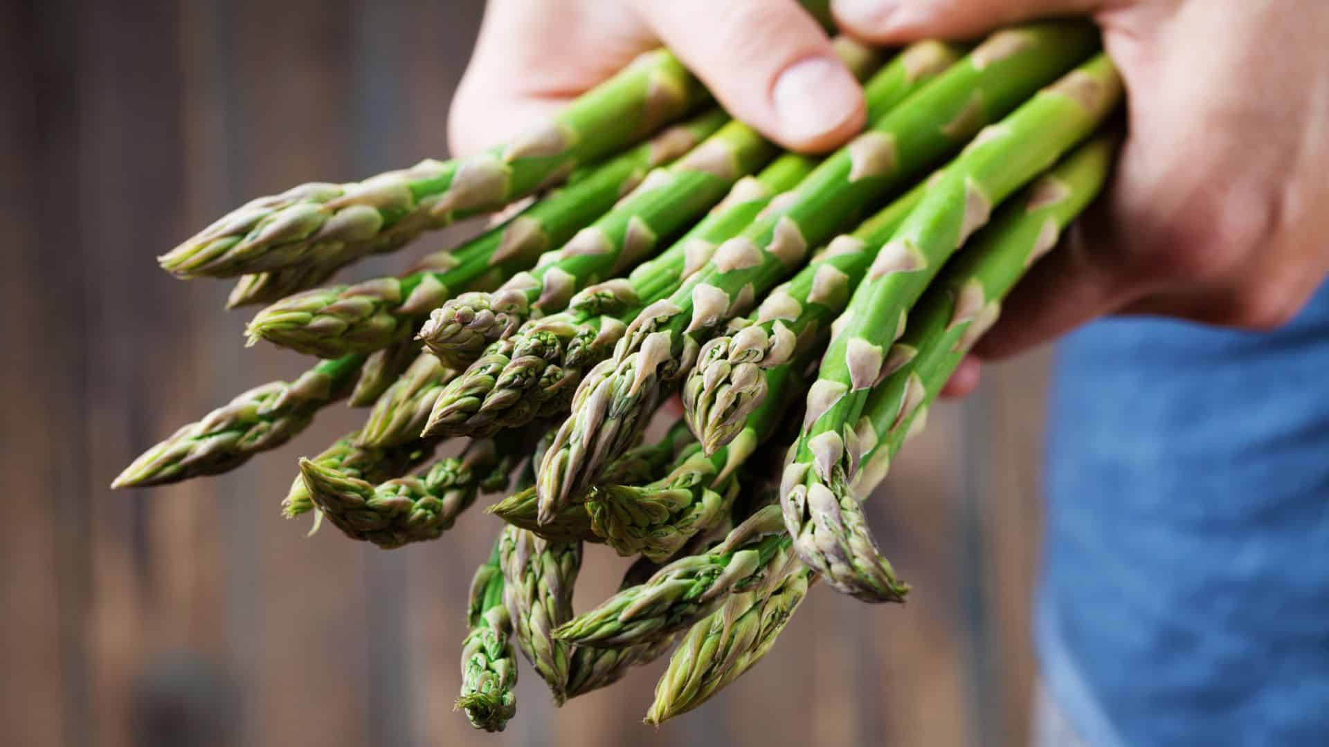 Asparagus - General Content - 1 - 260326 - Getty 16x9
