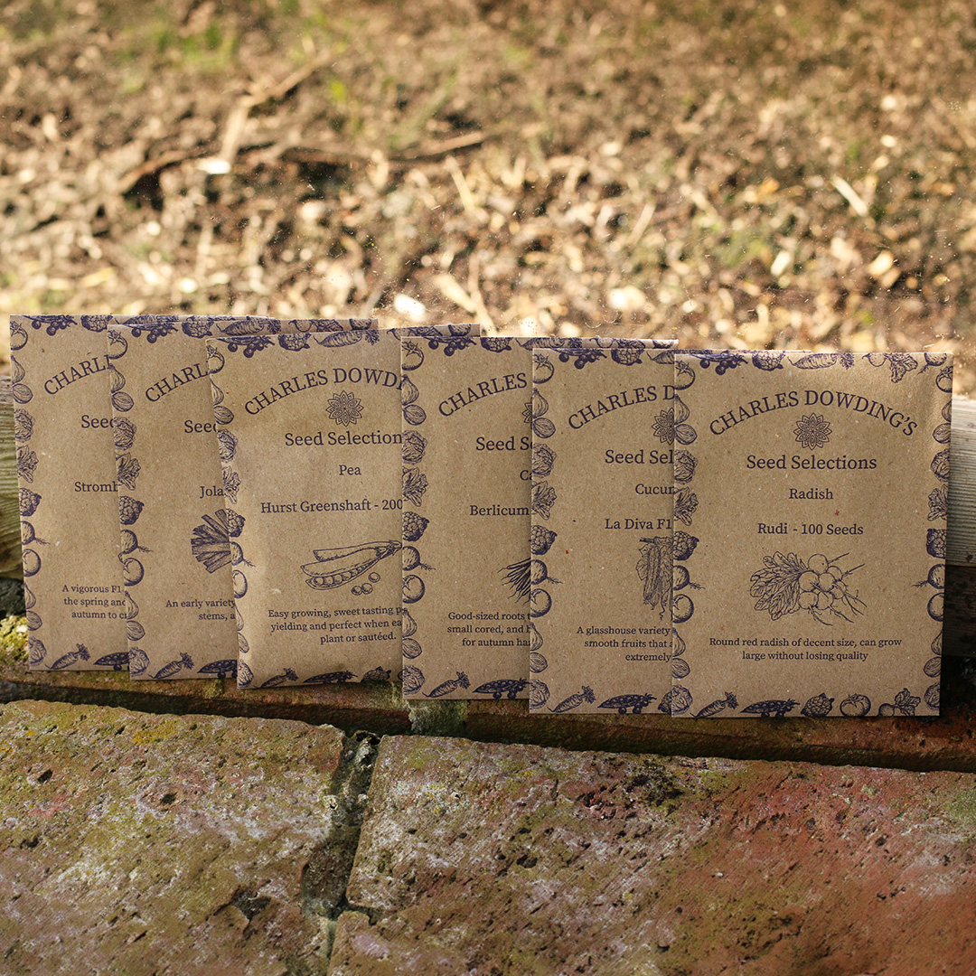A selection of Charles Dowding Seed Packets in brown paper with purple writing inside a greenhouse. They are placed on a brick wall with glass behind and blurred gravel background.