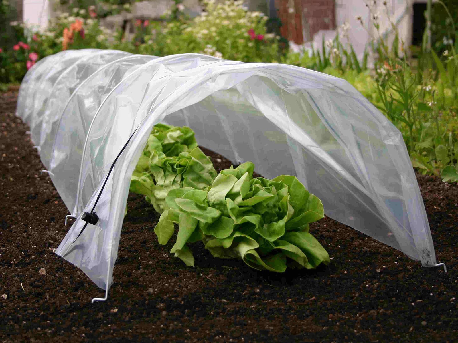 Easy Poly Tunnel Standard (9) [Haxnicks] 3x4 PS