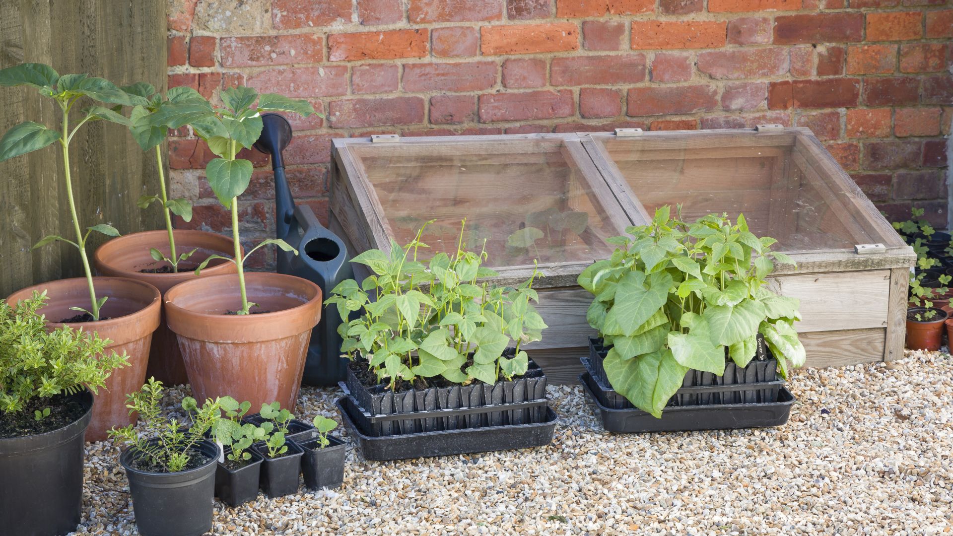 General - 62 - 010426 - Getty 16x9