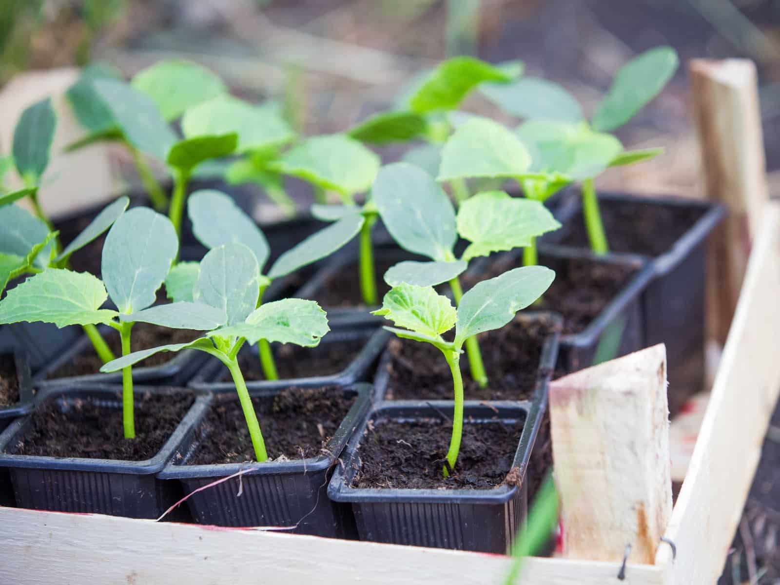 General - 64 - 010426 - Getty 4x3