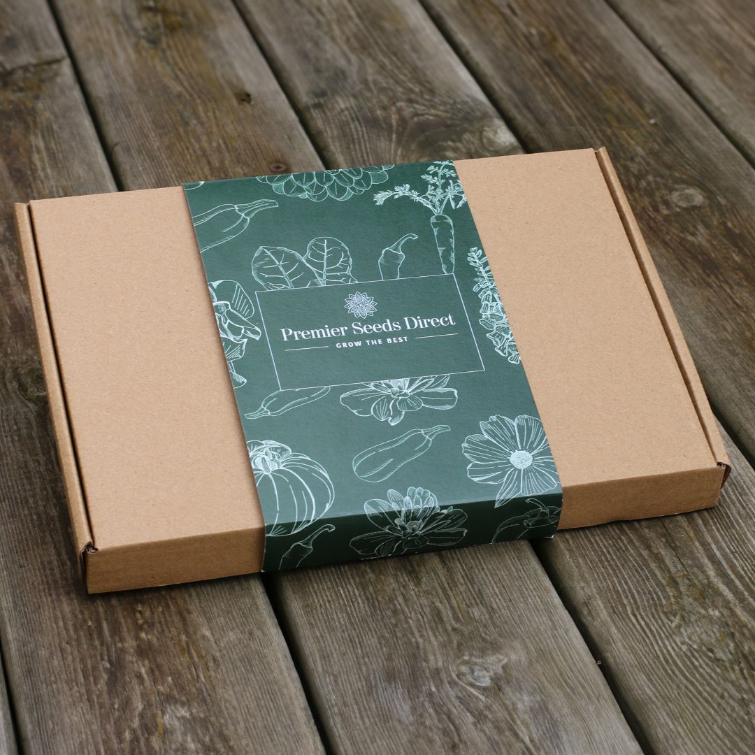 Gift Box - New - 061125 - PSD 1080p