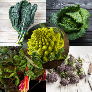 Charles's Winter Veg Collection
