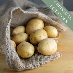 Freshly harvested Pentland Javelin potatoes tumbling out of hessian on a wooden surface
