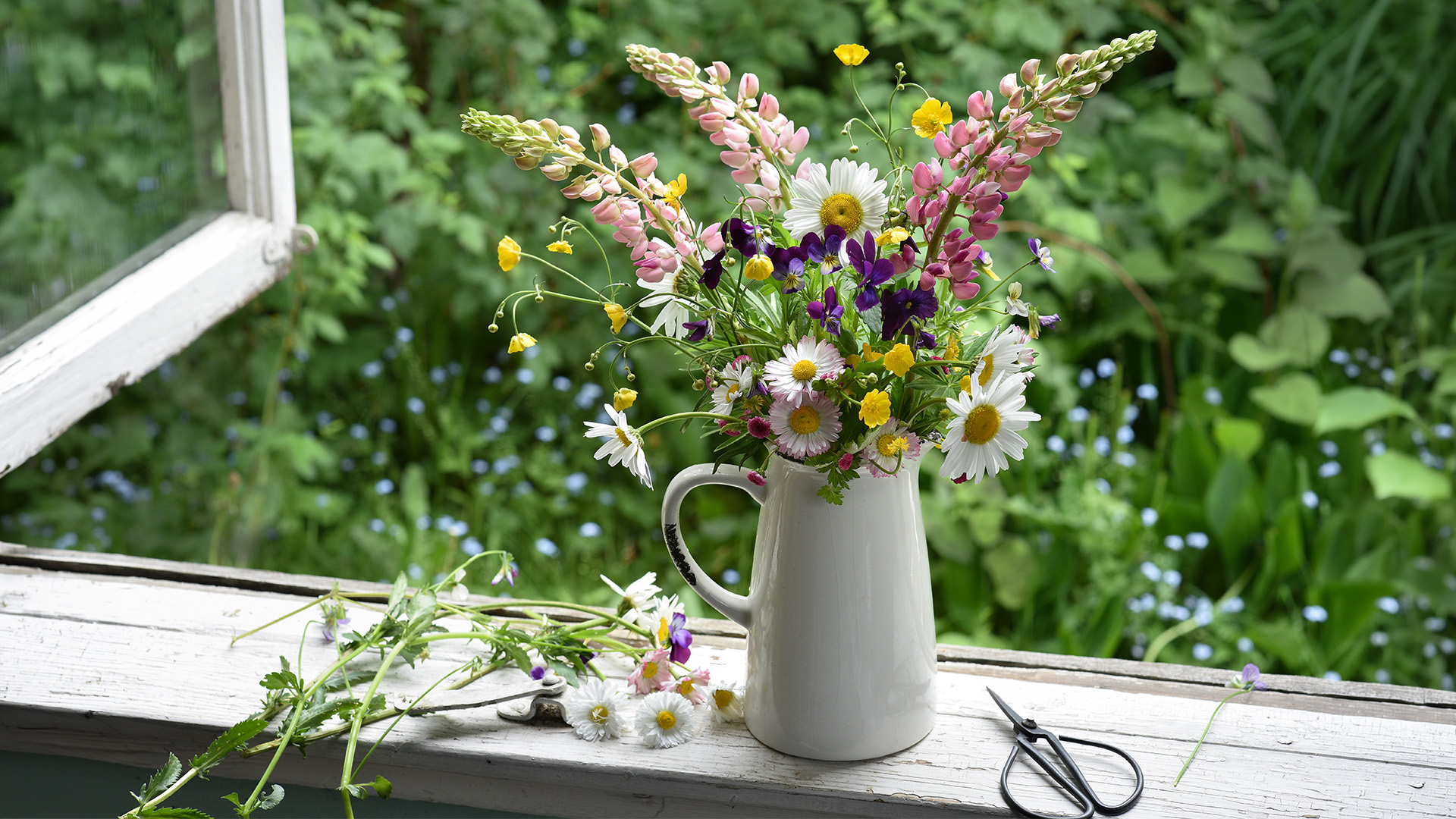 Flowers - General Content - 1 - 090626 - Getty 16x9 PS