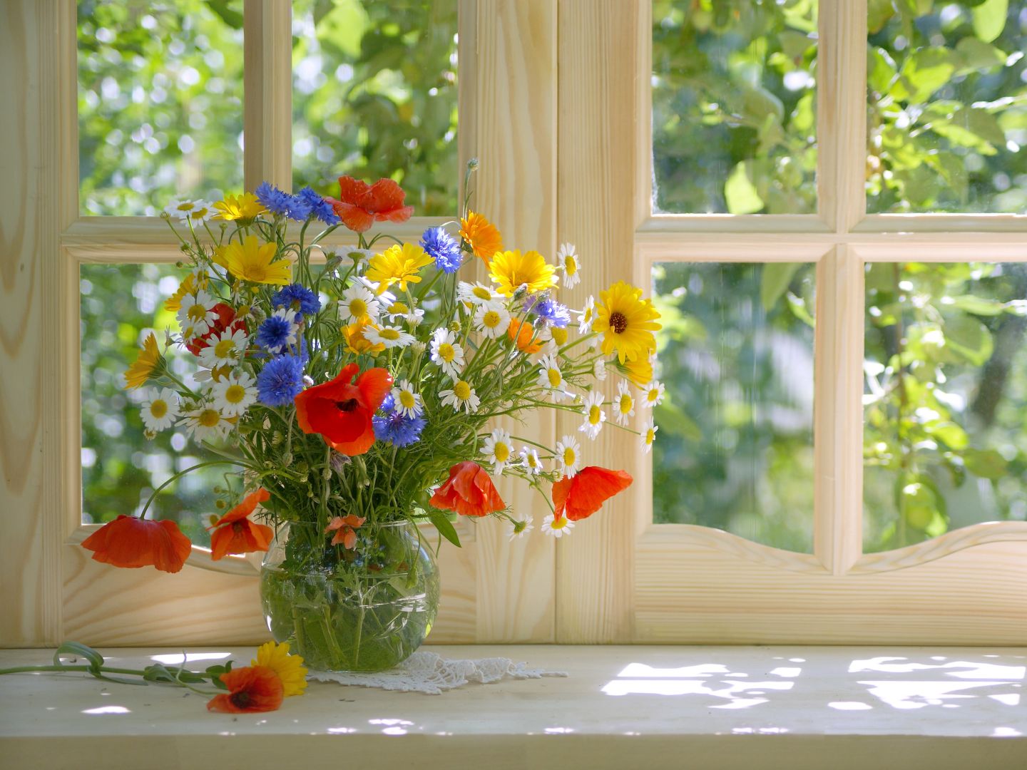 Flowers - General Content - 2 - 090626 - Getty 4x3