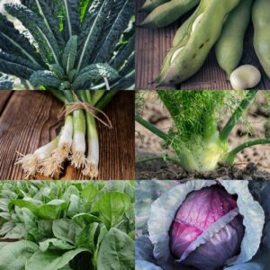 Autumn & Winter Veg Bundle