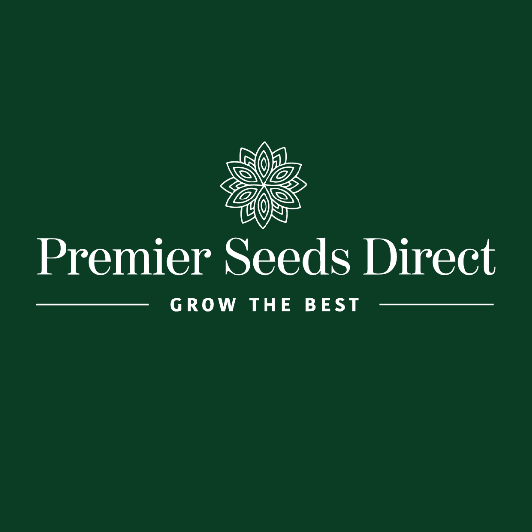PSD Square Logo
