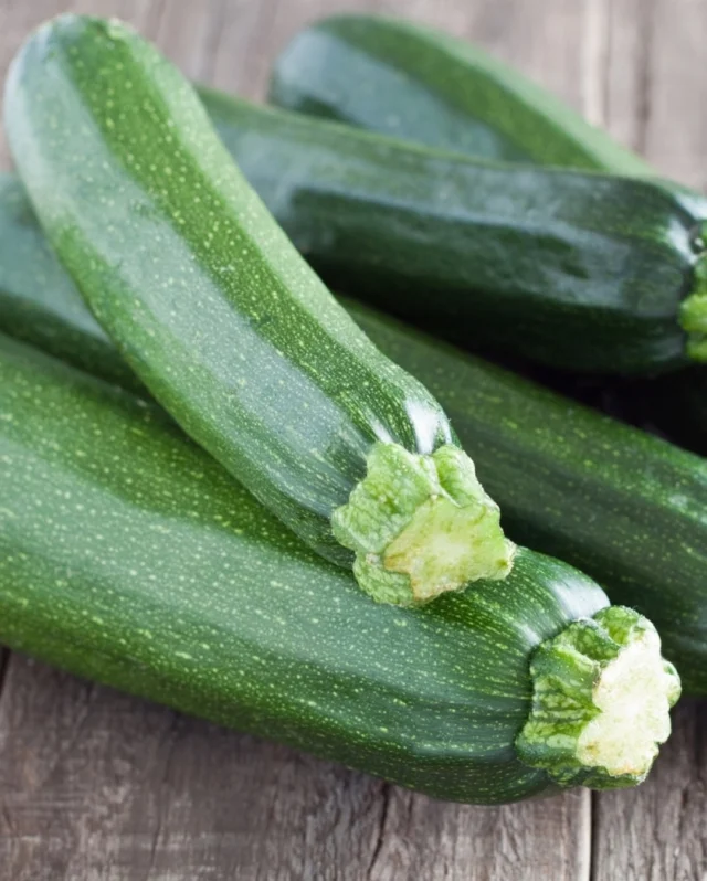 Courgettes: This or that? 🥒⭐️
 
With over 18 courgette varieties to choose from, we wanted to highlight two of our bestsellers and the different qualities they both offer!
 
Courgette- Ambassador F1
🥒Harvests: From June - October
🌱Compact, high-yielding plant with uniform fruits
🐞Excellent disease resistance
 
Courgette - Defender F1
🥒Harvests: From July - October
🌱Open bush habit and prolific cropping
🐞Excellent resistance to Cucumber Mosaic Virus.
🏆RHS Award of Garden Merit
 
Struggling to decide? Both courgettes are great but dependent on space, if you have a smaller garden, we suggest Ambassador F1 but for larger spaces Defender F1 may be for you.
 
#courgettes #courgetteseeds #maysowing #gardening #vegetables #springgardening