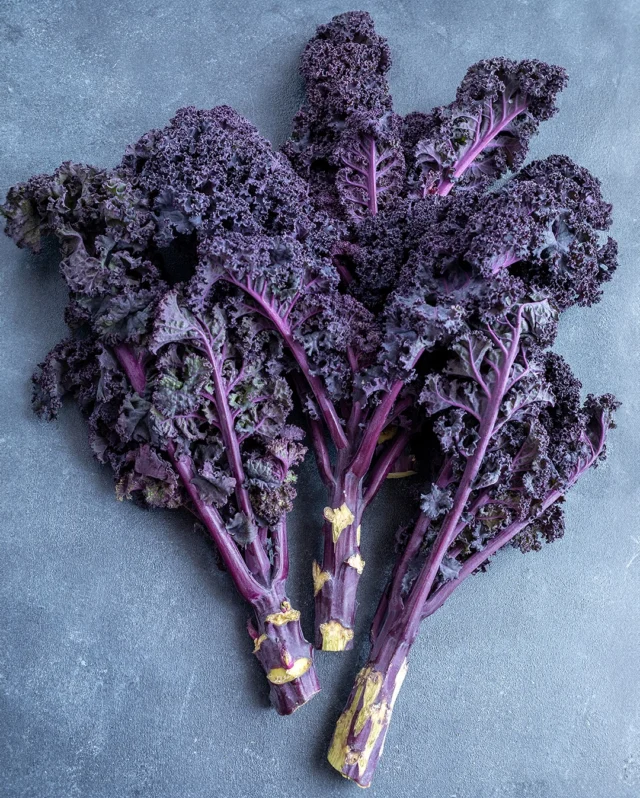 With the garden coming into bloom, it’s easy to forget to prepare the foundations for winter growing. ❄️ This week, we’re sowing the crops that will carry us through the colder months.
 
We’re starting with hardy leaves (Kale Scarlet), sturdy brassicas (Cabbage Elisa F1) and slow-growing root veg (Parsnip White Gem).
 
These crops take time to mature, so planting now gives them a strong start in the warmer weather. ☀️💪🏻
 
So, keep the harvests coming this winter for you to enjoy hearty, homegrown meals.
 
#sowinjune #winterharvest #wintervegfromseed #winterseeds #vegetableseeds #premierseedsdirect #growthebest