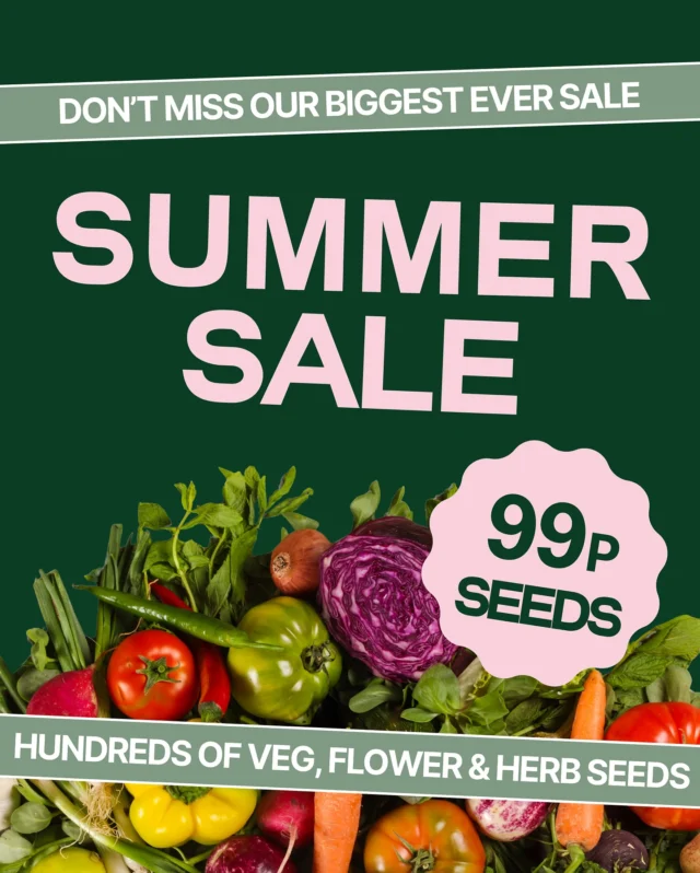 We’re thrilled to announce that our Summer Sale is here! ⛱️🌻
 
For a limited time, enjoy our top-quality seeds at just 99p a pack.
 
We’ve marked down hundreds of varieties for you to sow, grow and harvest so head to our website to uncover all of our discounted seeds.
 
There’s never been a better time to dig in and save! 🌞🪏
 
#summersale #seedsale #discountedseeds #vegetableseeds #flowerseeds #growyourown #veggarden #premierseedsdirect #growthebest